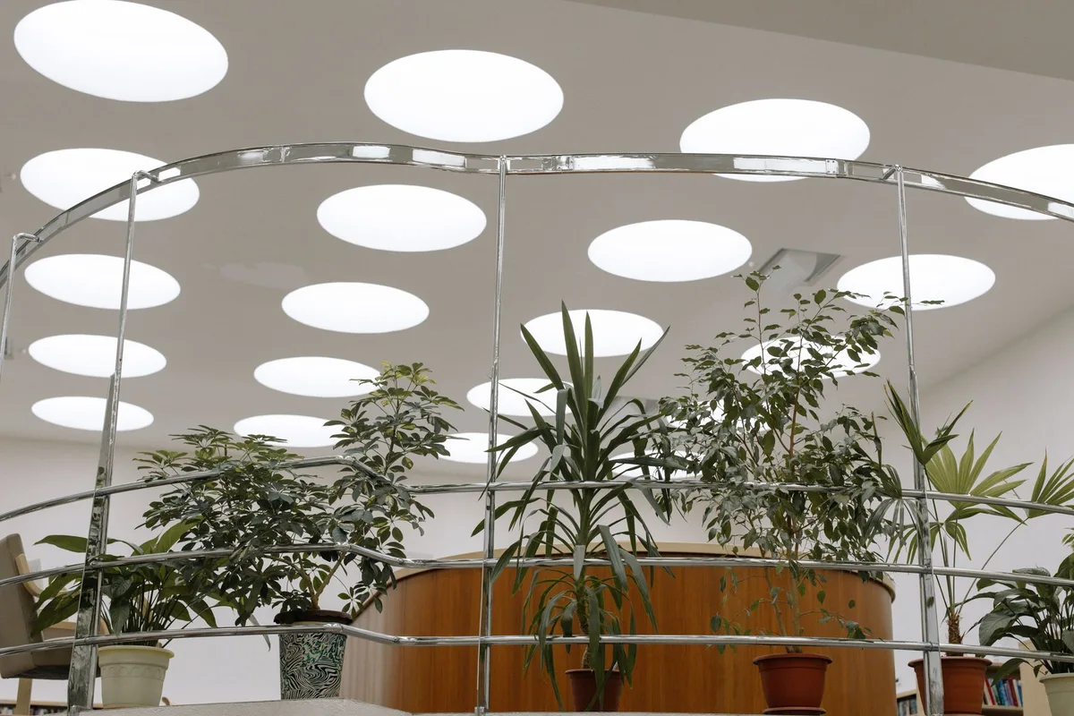 Design biophilique au bureau : plantes, lumière naturelle et espaces verts intégrés pour le bien-être des salariés