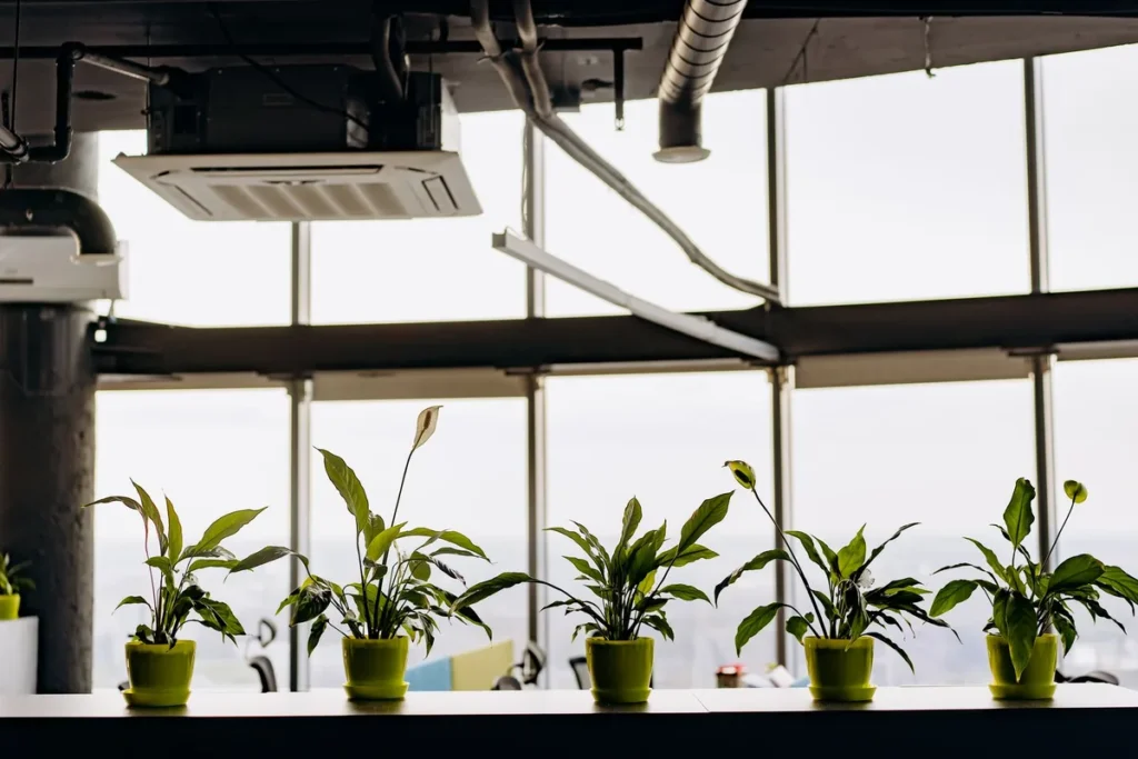 Aménagement bureau écologique : espace de travail durable avec mobilier bois FSC, éclairage naturel et matériaux naturels