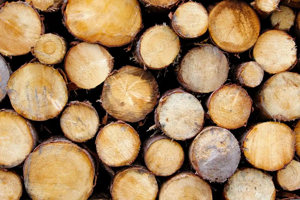 Production de chimie biosourcée à partir de biomasse renouvelable dans une usine industrielle