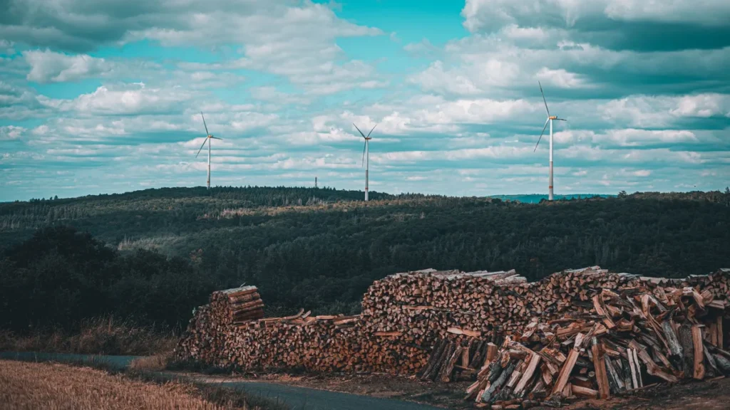 Bureau d'etudes en transition ecologique : missions (audit energetique, bilan carbone, CEE, conseil RSE), qualifications RGE et OPQIBI 1901, et criteres de choix du bon prestataire en 2026