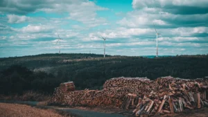 Bureau d'etudes en transition ecologique : missions (audit energetique, bilan carbone, CEE, conseil RSE), qualifications RGE et OPQIBI 1901, et criteres de choix du bon prestataire en 2026