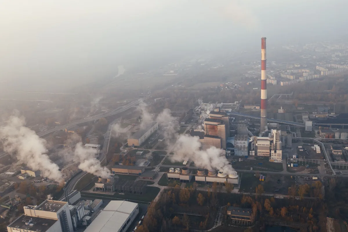 Contenu d'une étude de faisabilité décarbonation industrielle — bilan GES, baseline énergétique, scénarios d'investissement, ROI par technologie et feuille de route décarbonation 2030-2050