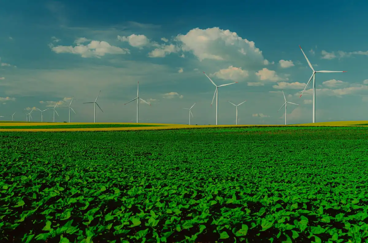 Électrolyseur industriel pour la production d'hydrogène vert par électrolyse de l'eau