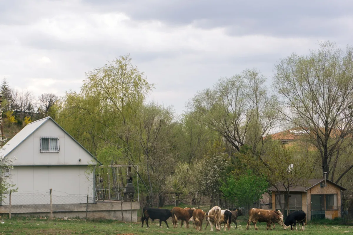 Isolation d'un bâtiment d'élevage dans le cadre des fiches CEE AGRI-CH